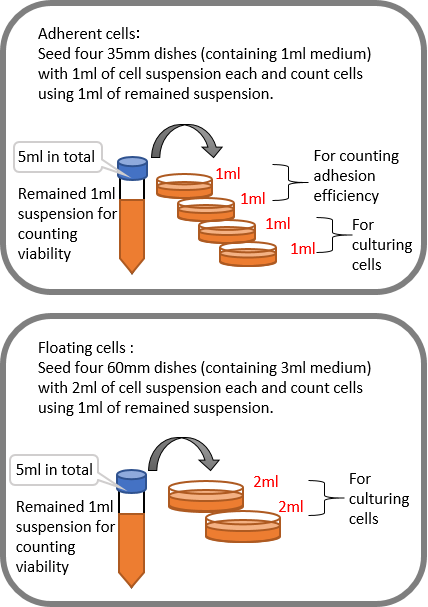 Inspection for cell viability and adhesion efficiency