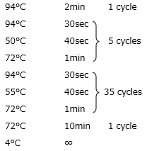 pcr_cycle